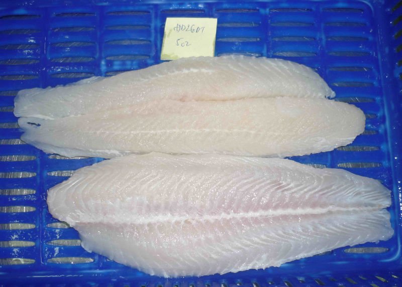 White pangasius