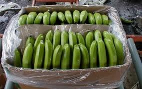 Super Fresh CAVENDISH BANANAS
