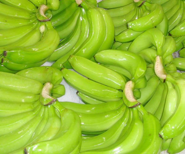 DARK FRESH DOLE GREEN CAVENDISH BANANAS