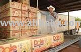  dole  fresh  cavendish  banana