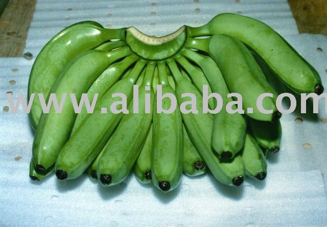 Cavendish Bananas-Philippines