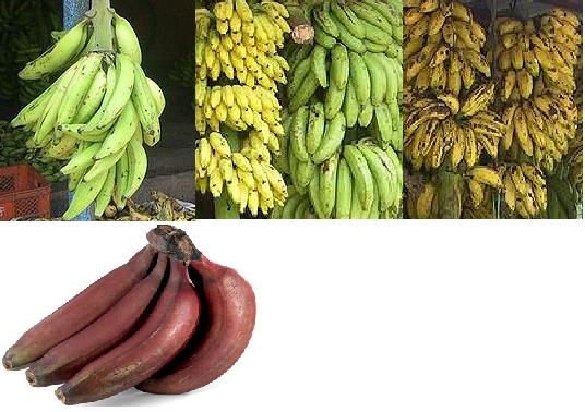 fresh  banana   Cavendish   Banana 