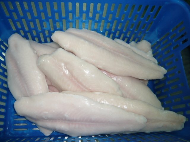Pangasius fillet/ portion