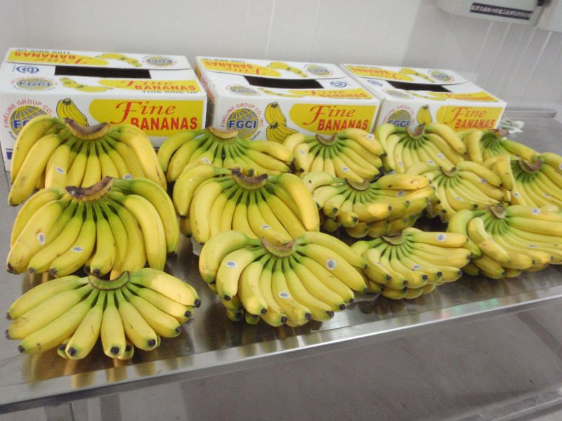 Fine  Banana s