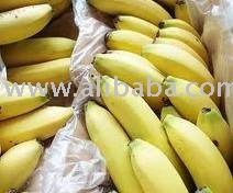 fresh banana