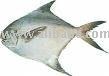 POMFRET