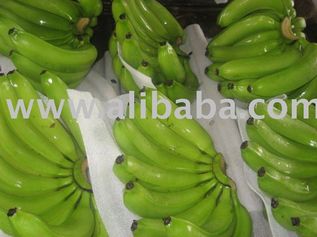 FRESH CAVENDISH BANANA