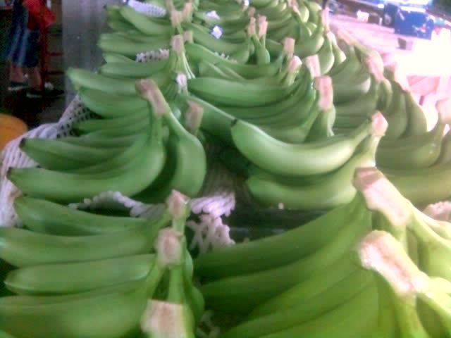 FRESH AND SWEET CAVENDISH BANANAS FOR SALE...