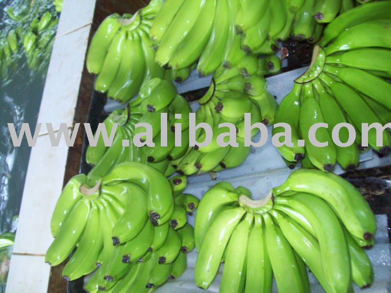Class A Bananas