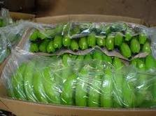 Fresh Cavendish Bananas Ready for Exportation