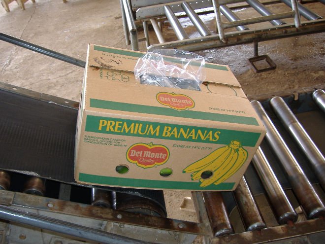 Bananas r5eady for consumption.