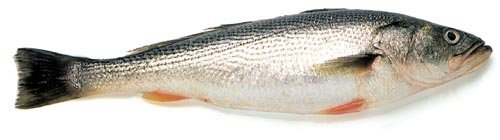 Sea Trout - Nasello - Pescadilla,argentina Price Supplier - 21food