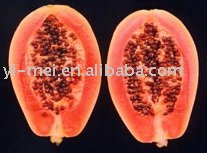 organic fresh papaya seeds/organic fruits seeds/fruits and vegetables seeds