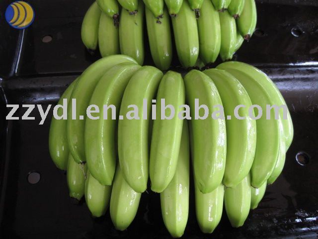  Banana / Fresh   Banana 