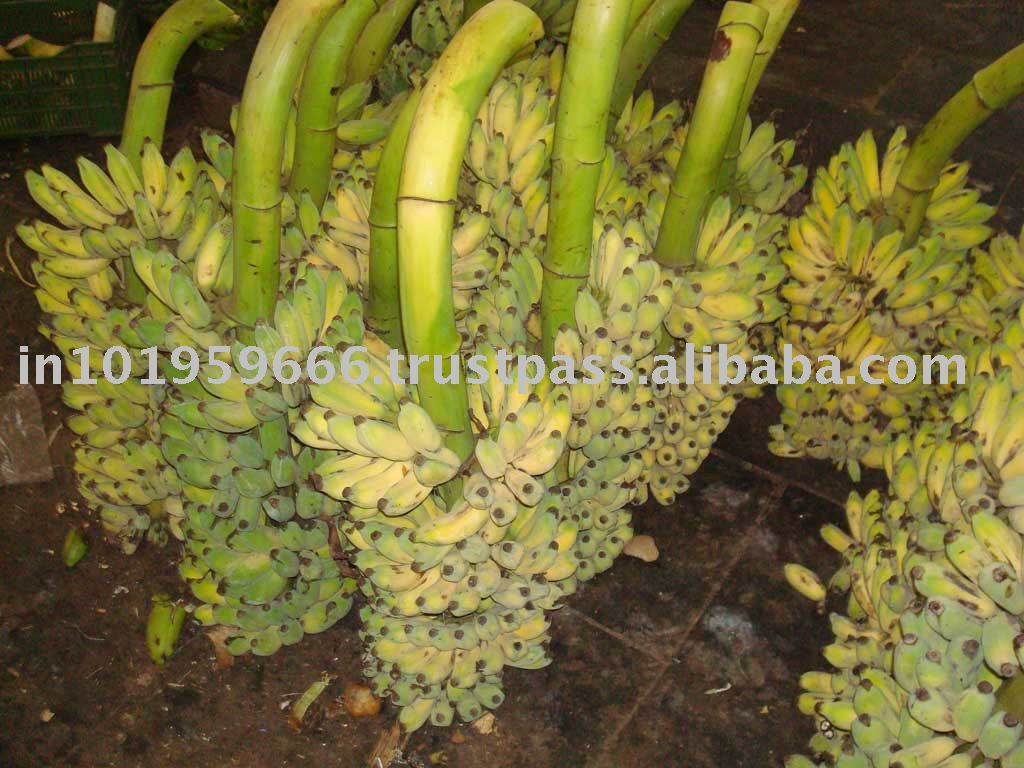  Banana  Fruit