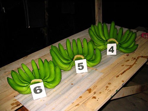 Fresh Dark Green Quality Cavendish Bananas For Sale at Affordable Prices