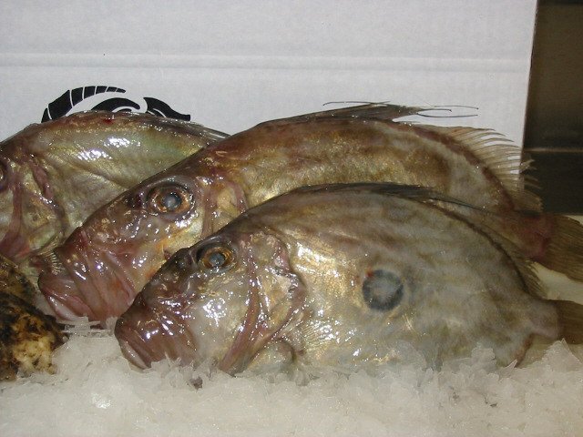 NEW ZEALAND SEAFOOD cod