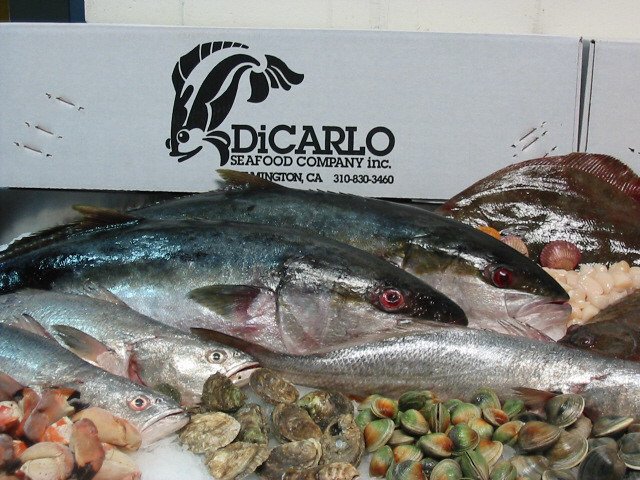 FISH