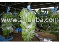 Banana Cavendish,  Mango , Pineapple, seeds to export