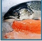  Norwegian   Salmon 