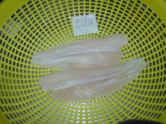Pangasius fillet