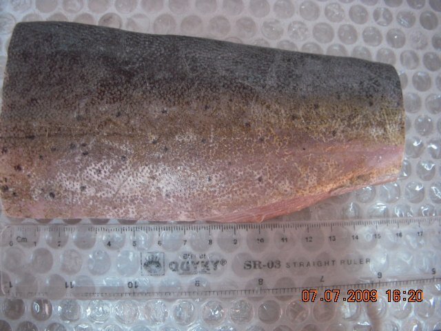 mahi mahi