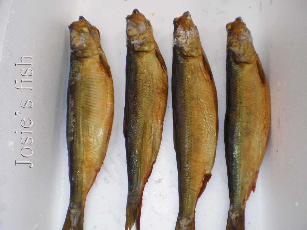 Smoked Herring