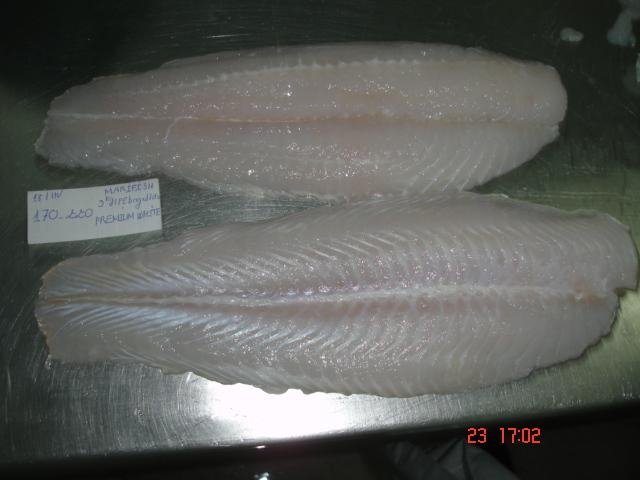 Fresh Pangasius filet