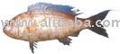 YEMENY SEA BREAMS