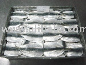 SARDINE MAMAKARI FILLET, HGT, WHOLE ROUND