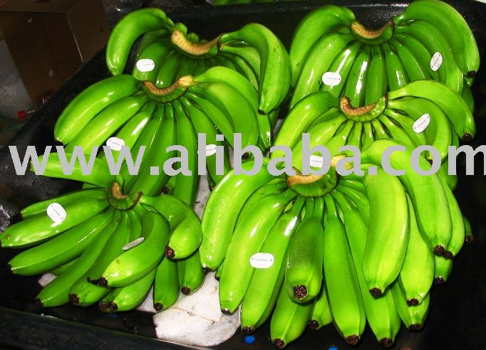 Banana (Cavendish, Fresh )