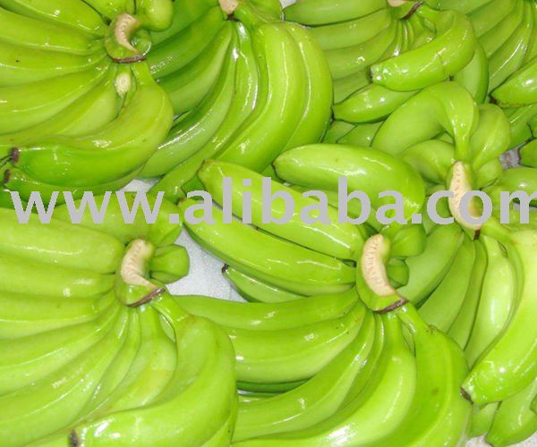 FRESH QUALITY CAVENDISH GREEN BANANAS GOOD FOR HUMAN CONSUMPTION