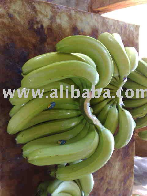 fresh Green Cavendish Banana