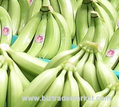 Fresh and quality green  banana s, CAVENDISH   BANANA ,Apples, Oranges, lemon, Mango, ,,Melons, Grapes, Co