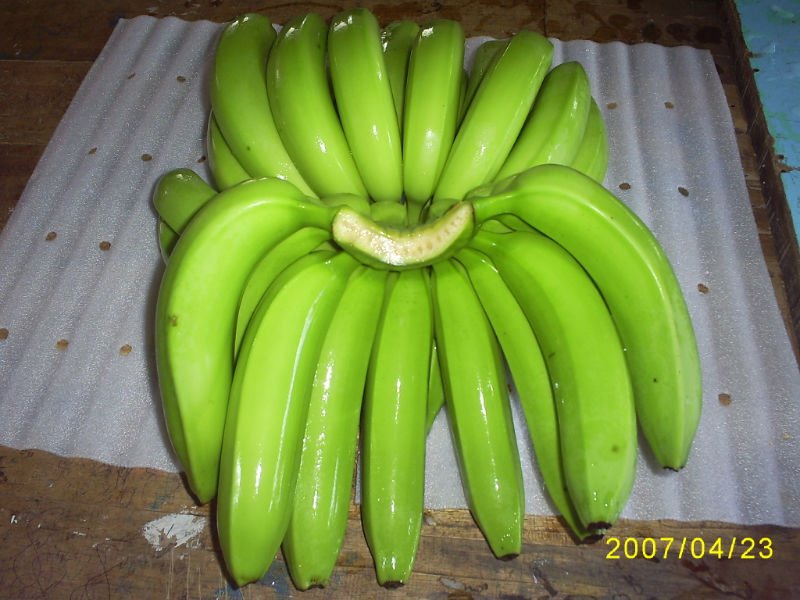 Tropical   Sub-Tropical Fruit