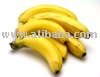  DYNASTY  BANANAS
