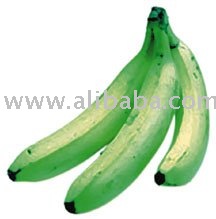 Fresh Banana producers