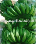 Bananas Growers