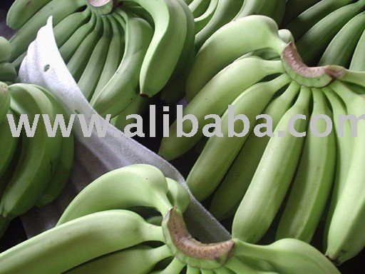 Best Green  Banana   Export ers