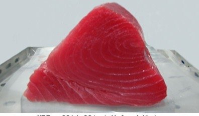 CO  treated Yellowfin Tuna loin
