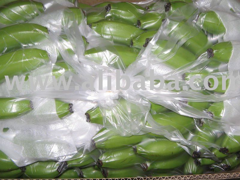 Fresh Green Cavendish Banana