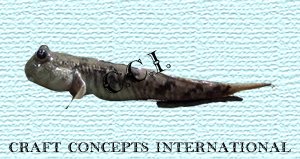 Mudskipper Fish