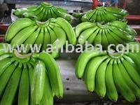 Sweet Philippine Cavendish bananas