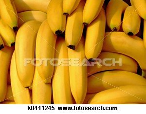 fresh cavendish  tropical   banana s