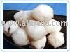 Cuttle fish Balls