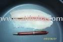 Deep-skinned fillet Tilapia fish