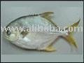Golden pompano