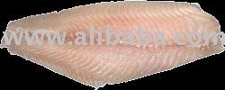 Painted  Sweetip Fillet