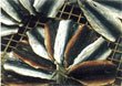 Dried Seasoned Butterfly cut Sardine