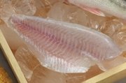 red mullet, Barramundi, leather jacket,pangasuis, squid...